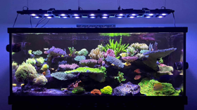 Smart Aquarium Management System