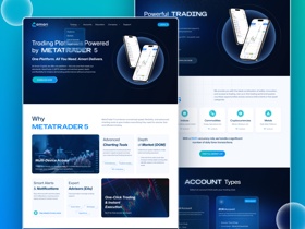 High-Performance Webflow Website for FinTech & Crypto Solutions
