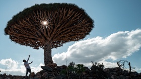 Documentary shoot in Socotra Island Yemen