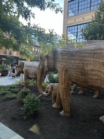Socially Intrigued led the social media activation for The Great Elephant Migration in Chelsea, capturing the art installation’s message of coexistenc