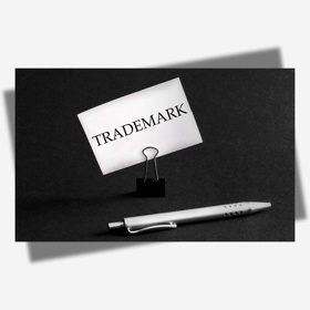 Register your domain name, create official social media handles, and set up a professional email  all using your brand name.Keep an eye out for brand