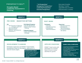 Our strength-based leadership assessment and coaching, Perspectives™, comes in 4 different levels and lengths, with standard 4 months outlined below. 
