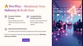 Pro plan leadsynclink SEO