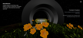 experience this website at brandbloomer.me