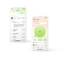 The Personal Finance Planner App