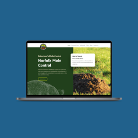 WordPress website for a local business. 