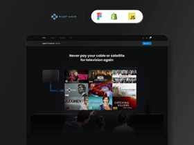 TV Antenna Shopify Store.