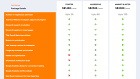 Affordable SEO Packages