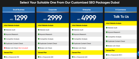Our SEO packages details screenshot