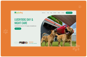 Luckydog - pet care