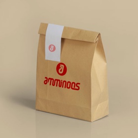 Logo, brand guidelines & marketing peripherals developed for Amminoos