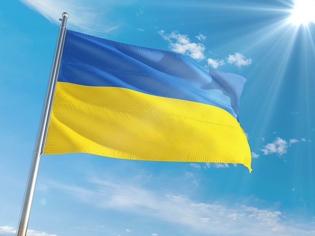 Ukraine Flag