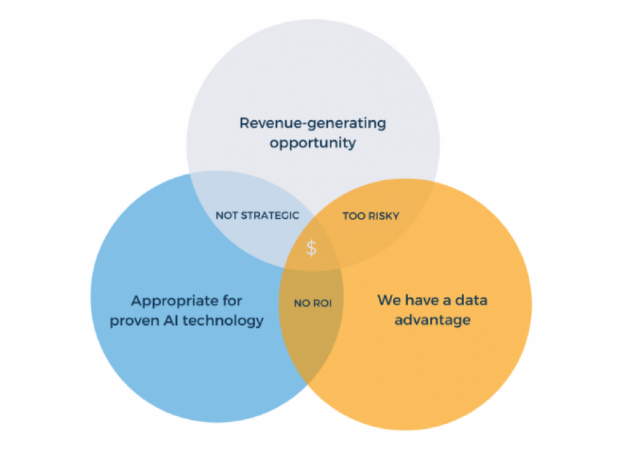 AI ROI Venn diagram