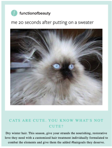 Function of Beauty humor example