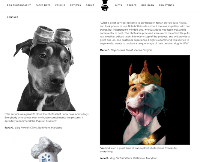 puptrait studio reviews and case studies b2c example