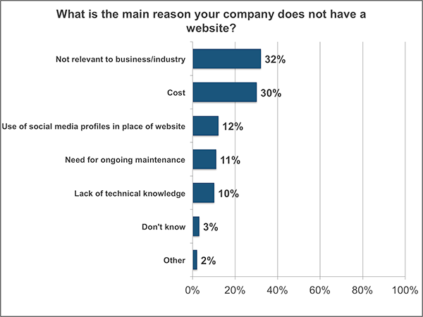 Graph, reasons small businesses don't have a website
