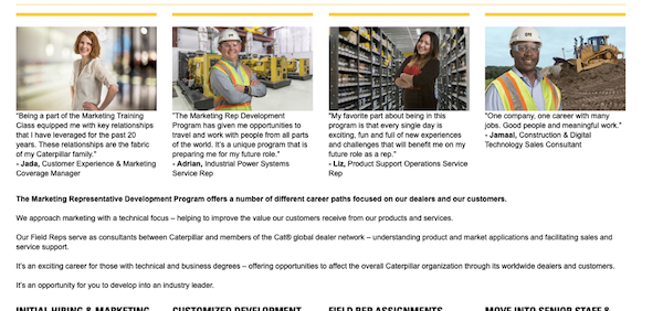 caterpillar mentorship program