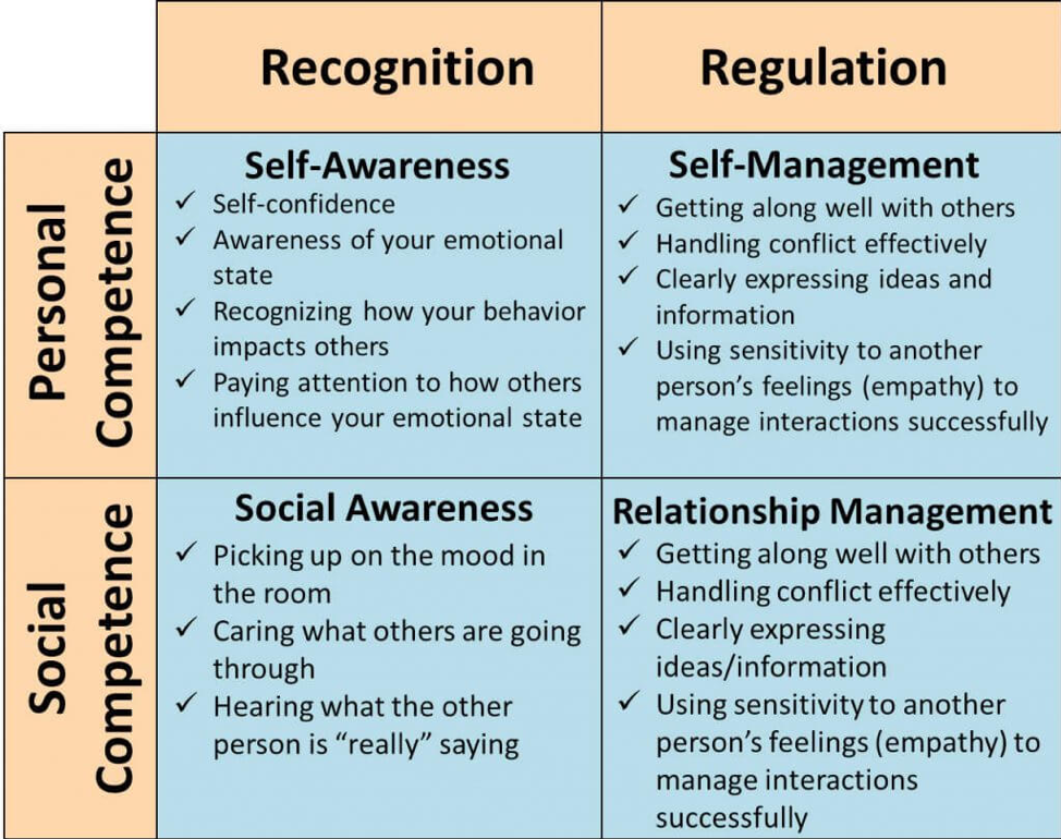 emotional strength diagarm recognition regulation social personal competence