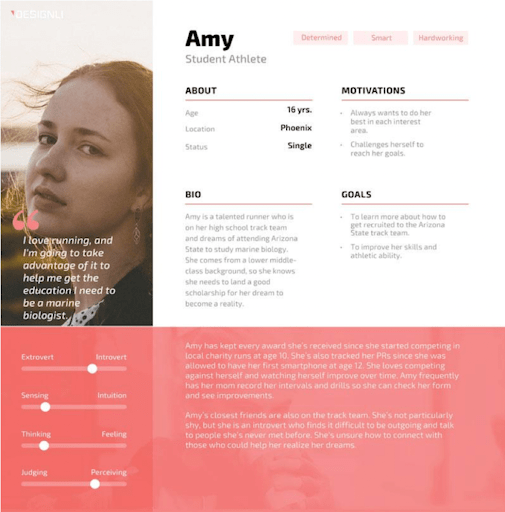 User Persona including demographic information and motivations