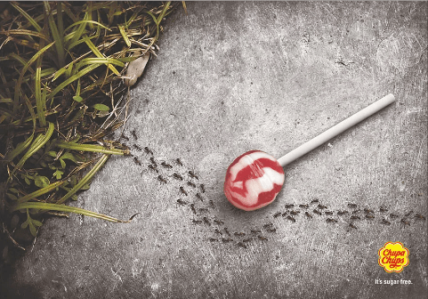 Ants walk around a lollypop