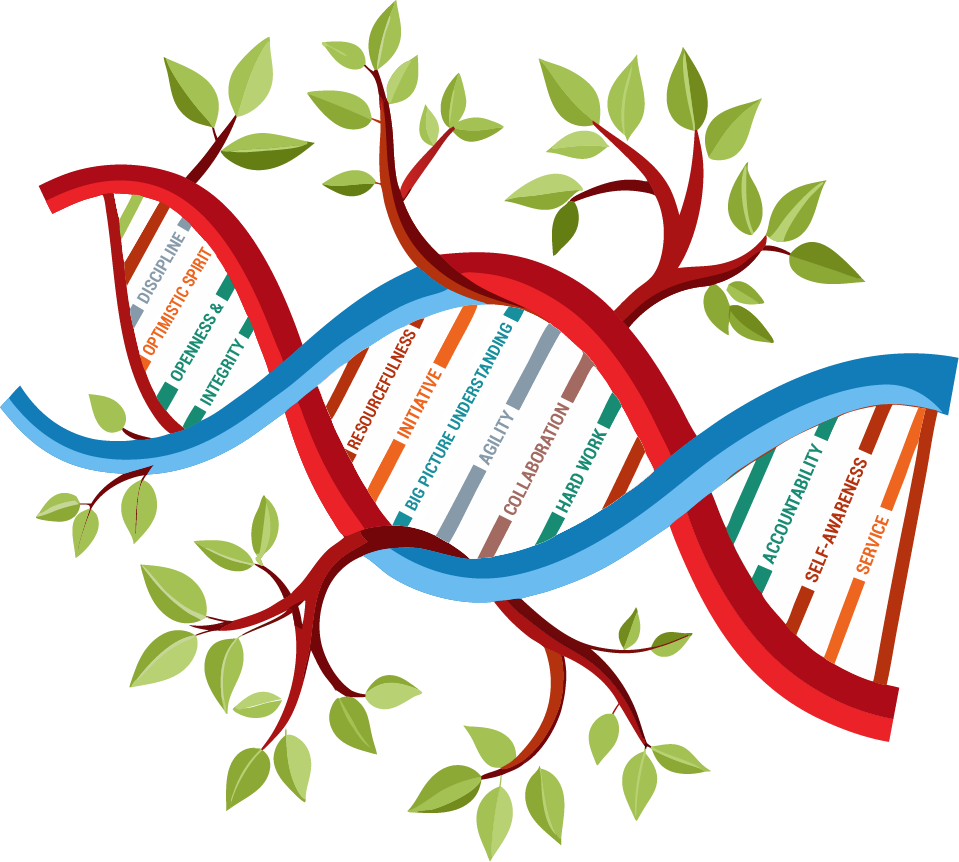 The 12 DNA Strands for Sustaining Continuous Innovation
