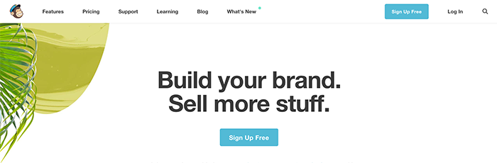 Mailchimp search bar