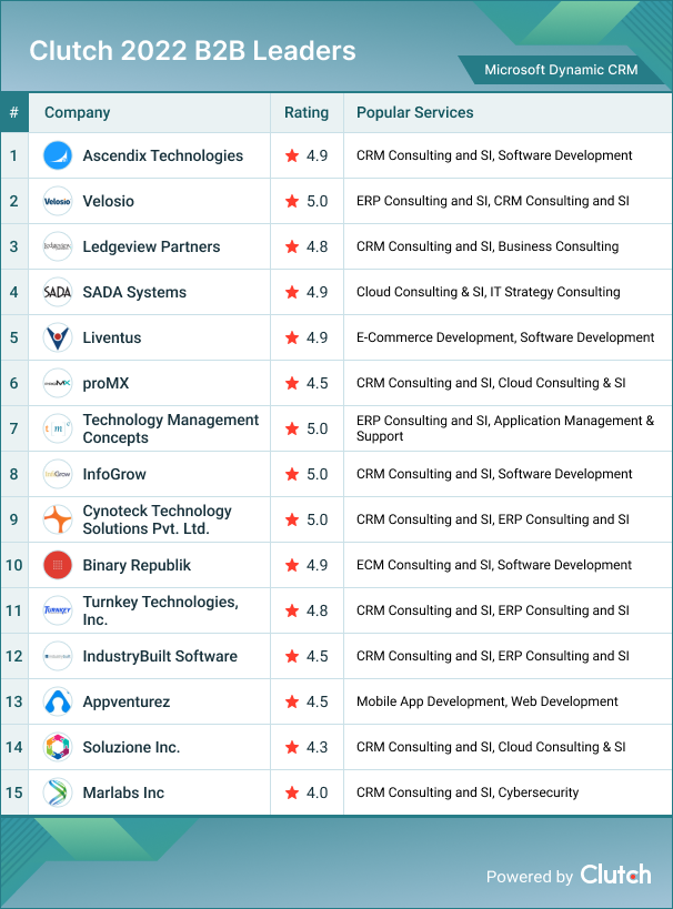 Microsoft Dynamic CRM