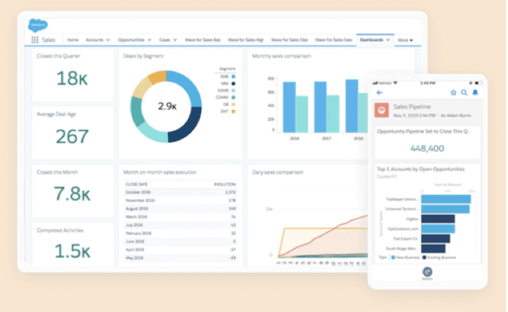 example of Salesforce CRM software and its capabilities