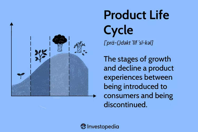 Lifecycle graphics