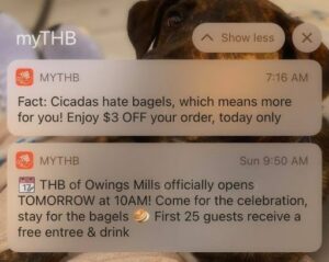 Towson Hot Bagels_Push Notification Example