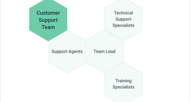 customer support team