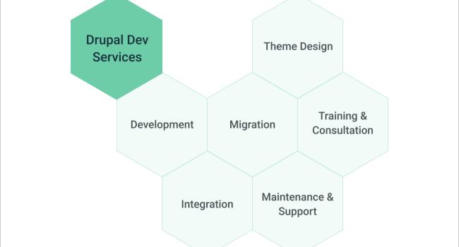 drupal dev services