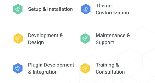 wordpress dev services