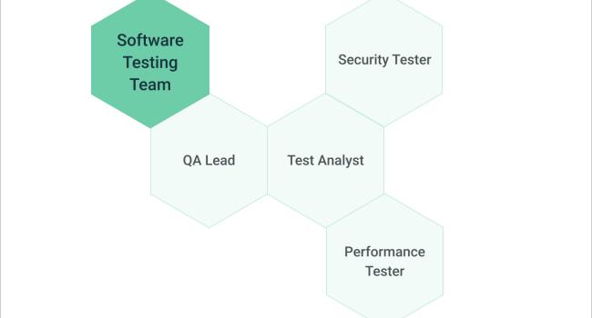 software testing team
