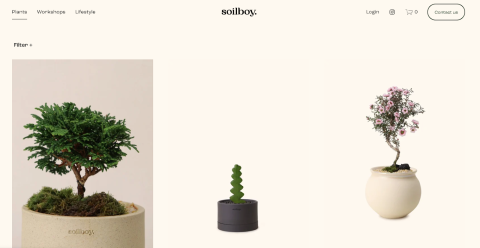 Example of the Squarespace App in Action