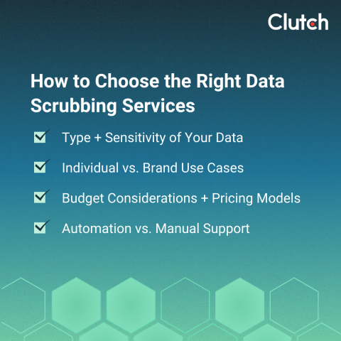 How To Choose the Right Data Scrubbing Service