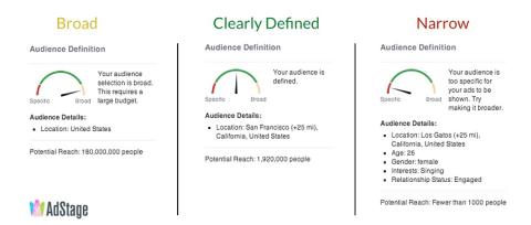 dashboard showing Facebook advertising audience