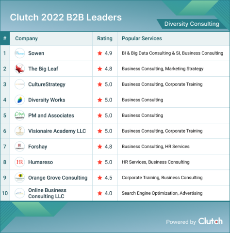 Diversity Consulting