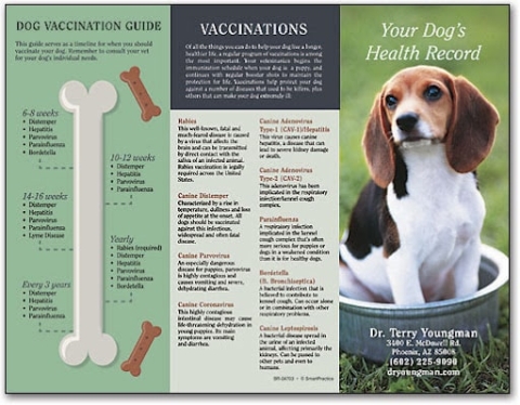 Vet Pamphlet