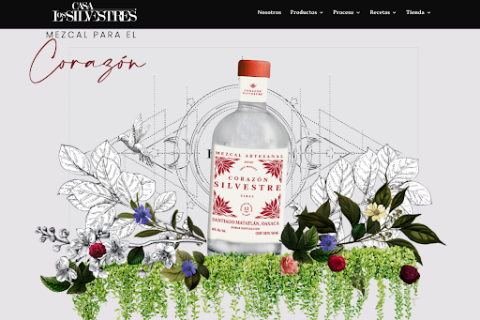 Casa Los Silvestres Landing Page