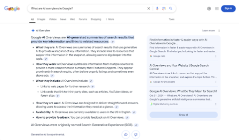 Google AI Overviews