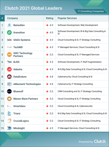 IT Consulting Company Leaders