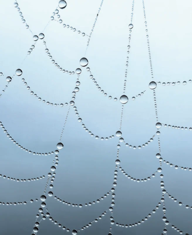 Shot on iPhone winner