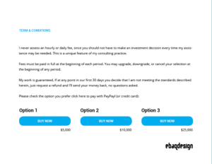 logo design proposal pricing options