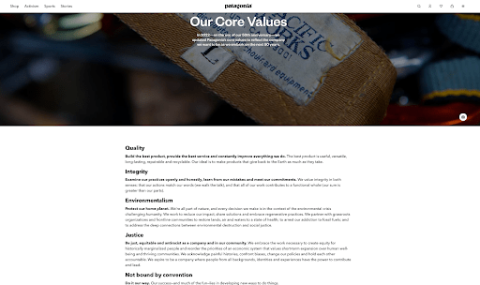 Patagonia's website outlines their brand pillars