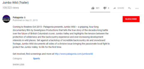 Pagagonia's YouTube video attracts customers.