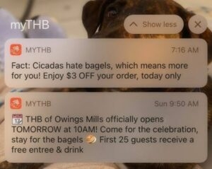 Towson Hot Bagels_Push Notification Example