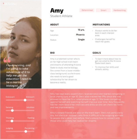 User Persona including demographic information and motivations