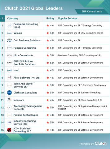 ERP Consulting Leaders