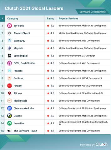 Software Development Leaders